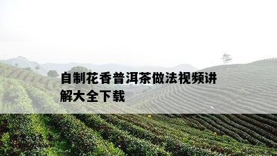 自制花香普洱茶做法视频讲解大全下载