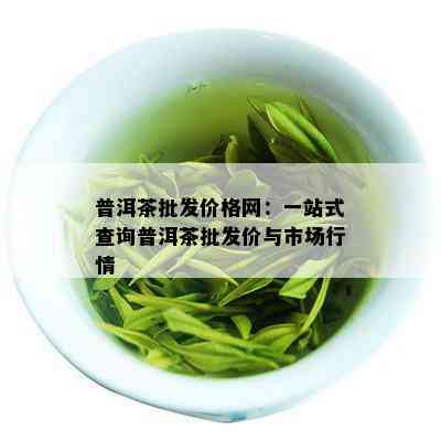 普洱茶批发价格网：一站式查询普洱茶批发价与市场行情