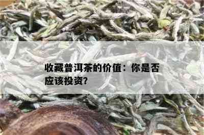 收藏普洱茶的价值：你是否应该投资？