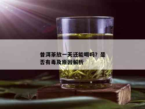 普洱茶放一天还能喝吗？是否有及原因解析