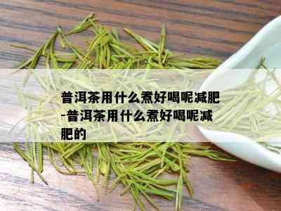 普洱茶用什么煮好喝呢减肥-普洱茶用什么煮好喝呢减肥的