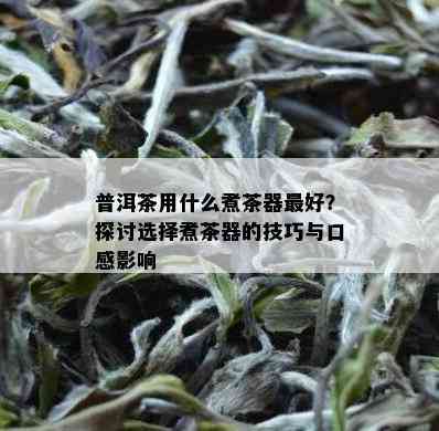 普洱茶用什么煮茶器更好？探讨选择煮茶器的技巧与口感影响