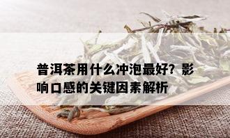 普洱茶用什么冲泡更好？影响口感的关键因素解析