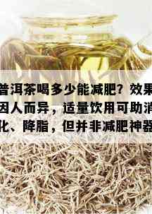 普洱茶喝多少能减肥？效果因人而异，适量饮用可助消化、降脂，但并非减肥神器。