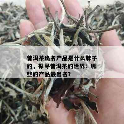 普洱茶出名产品是什么牌子的，探寻普洱茶的世界：哪些的产品最出名？