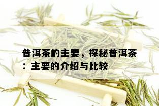 普洱茶的主要，探秘普洱茶：主要的介绍与比较