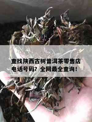 查找陕西古树普洱茶零售店电话号码？全网最全查询！