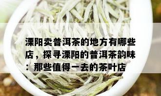 溧阳卖普洱茶的地方有哪些店，探寻溧阳的普洱茶韵味：那些值得一去的茶叶店