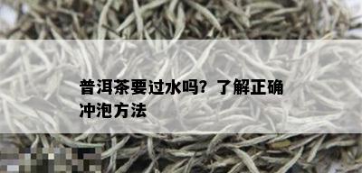 普洱茶要过水吗？了解正确冲泡方法