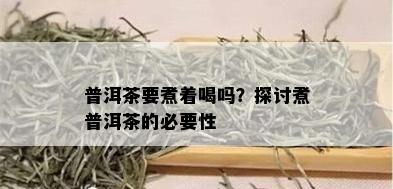 普洱茶要煮着喝吗？探讨煮普洱茶的必要性