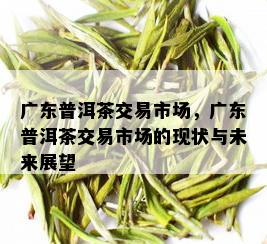 广东普洱茶交易市场，广东普洱茶交易市场的现状与未来展望