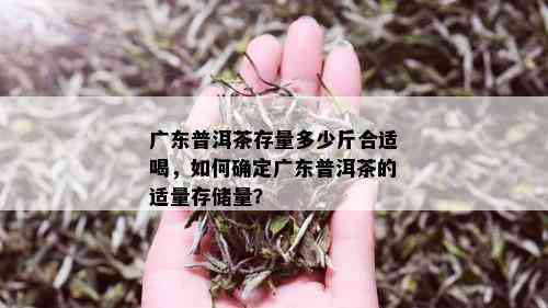 广东普洱茶存量多少斤合适喝，如何确定广东普洱茶的适量存储量？