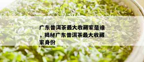 广东普洱茶更大收藏家是谁，揭秘广东普洱茶更大收藏家身份