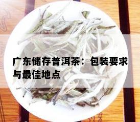 广东储存普洱茶：包装要求与更佳地点