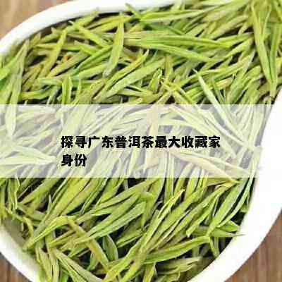 探寻广东普洱茶更大收藏家身份