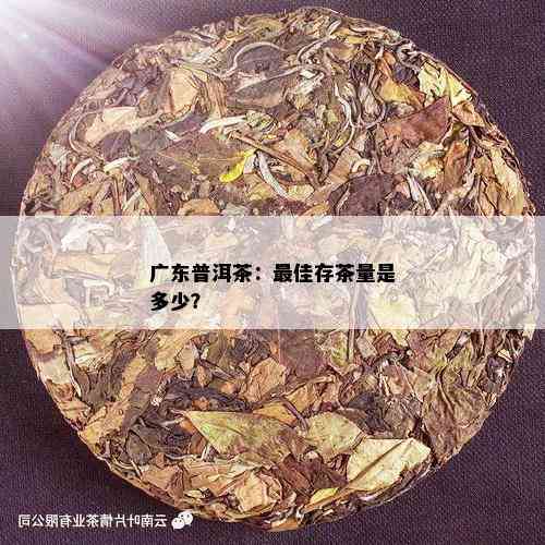 广东普洱茶：更佳存茶量是多少？