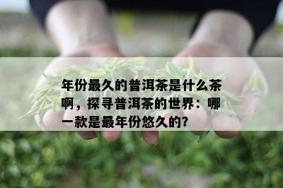 年份最久的普洱茶是什么茶啊，探寻普洱茶的世界：哪一款是最年份悠久的？