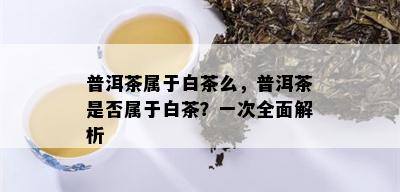 普洱茶属于白茶么，普洱茶是否属于白茶？一次全面解析