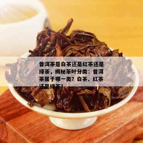 普洱茶是白茶还是红茶还是绿茶，揭秘茶叶分类：普洱茶属于哪一类？白茶、红茶还是绿茶？