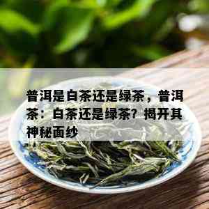 普洱是白茶还是绿茶，普洱茶：白茶还是绿茶？揭开其神秘面纱