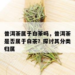 普洱茶属于白茶吗，普洱茶是否属于白茶？探讨其分类归属