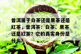 普洱属于白茶还是黑茶还是红茶，普洱茶：白茶、黑茶还是红茶？它的真实身份是什么？