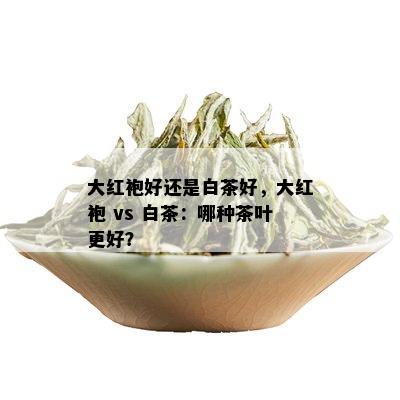 大红袍好还是白茶好，大红袍 vs 白茶：哪种茶叶更好？