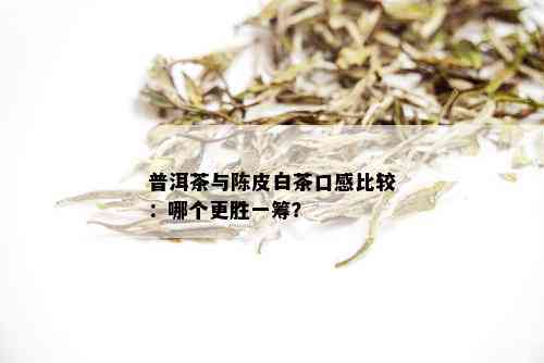 普洱茶与陈皮白茶口感比较：哪个更胜一筹？