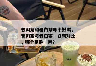 普洱茶和老白茶哪个好喝，普洱茶与老白茶：口感对比，哪个更胜一筹？