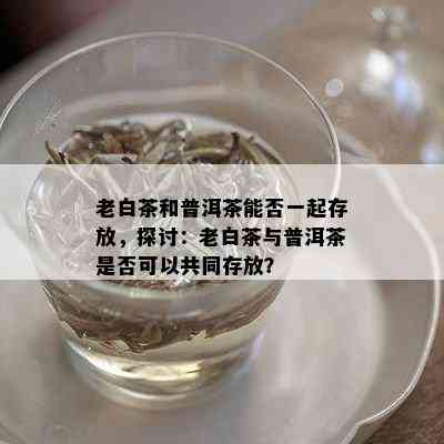 老白茶和普洱茶能否一起存放，探讨：老白茶与普洱茶是否可以共同存放？