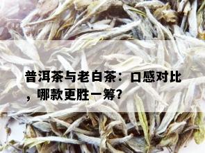 普洱茶与老白茶：口感对比，哪款更胜一筹？