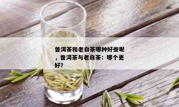 普洱茶和老白茶哪种好些呢，普洱茶与老白茶：哪个更好？