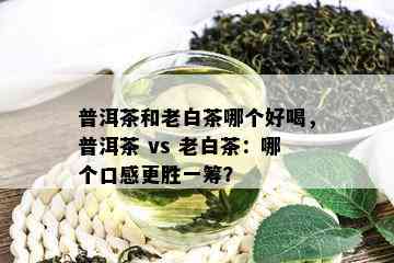 普洱茶和老白茶哪个好喝，普洱茶 vs 老白茶：哪个口感更胜一筹？