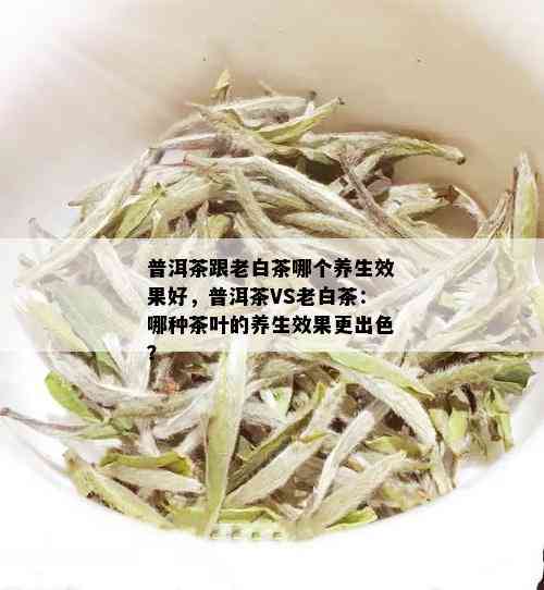 普洱茶跟老白茶哪个养生效果好，普洱茶VS老白茶：哪种茶叶的养生效果更出色？