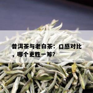 普洱茶与老白茶：口感对比，哪个更胜一筹？