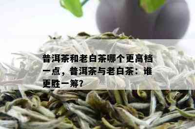 普洱茶和老白茶哪个更高档一点，普洱茶与老白茶：谁更胜一筹？