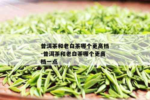 普洱茶和老白茶哪个更高档-普洱茶和老白茶哪个更高档一点