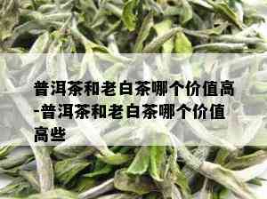 普洱茶和老白茶哪个价值高-普洱茶和老白茶哪个价值高些