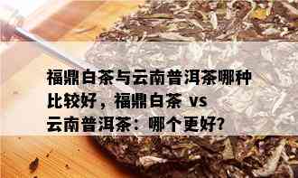 福鼎白茶与云南普洱茶哪种比较好，福鼎白茶 vs 云南普洱茶：哪个更好？