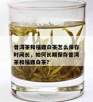 普洱茶和福鼎白茶怎么保存时间长，如何长期保存普洱茶和福鼎白茶？