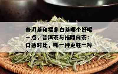 普洱茶和福鼎白茶哪个好喝一点，普洱茶与福鼎白茶：口感对比，哪一种更胜一筹？