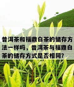 普洱茶和福鼎白茶的储存方法一样吗，普洱茶与福鼎白茶的储存方式是否相同？