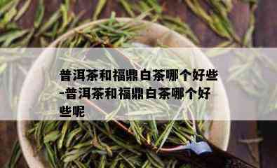 普洱茶和福鼎白茶哪个好些-普洱茶和福鼎白茶哪个好些呢