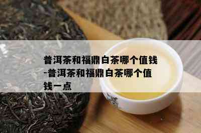 普洱茶和福鼎白茶哪个值钱-普洱茶和福鼎白茶哪个值钱一点