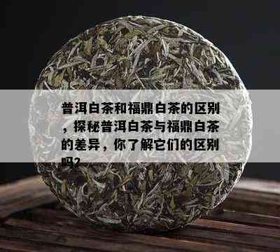 普洱白茶和福鼎白茶的区别，探秘普洱白茶与福鼎白茶的差异，你了解它们的区别吗？