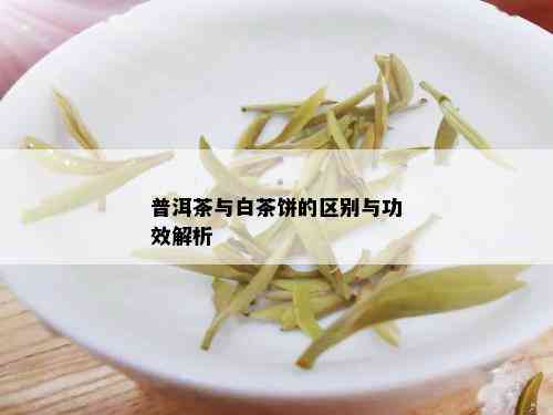 普洱茶与白茶饼的区别与功效解析