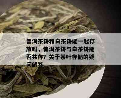 普洱茶饼和白茶饼能一起存放吗，普洱茶饼与白茶饼能否共存？关于茶叶存储的疑问解答