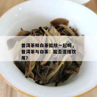 普洱茶和白茶能放一起吗，普洱茶与白茶：能否混搭饮用？