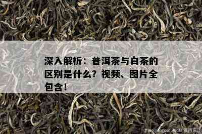 深入解析：普洱茶与白茶的区别是什么？视频、图片全包含！