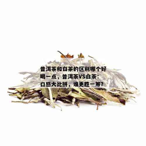 普洱茶和白茶的区别哪个好喝一点，普洱茶VS白茶：口感大比拼，谁更胜一筹？